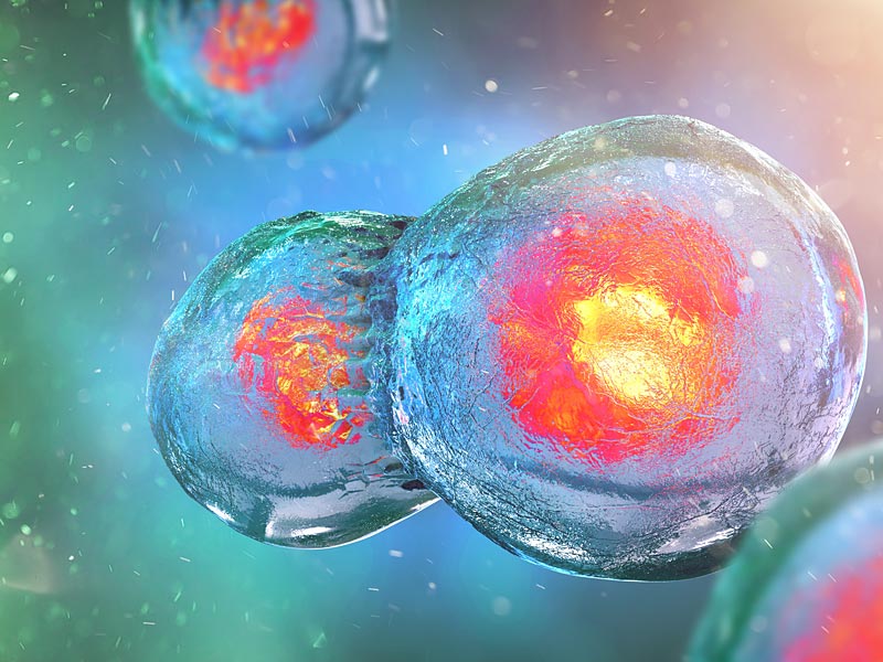 Tế bào gốc có thể thay thế các tế bào tổn thương