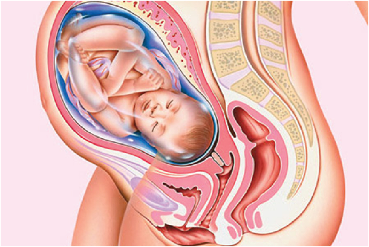 Mẹ bầu không nên quá lo lắng khi phát hiện thiếu ối ở 3 tháng giữa thai kỳ