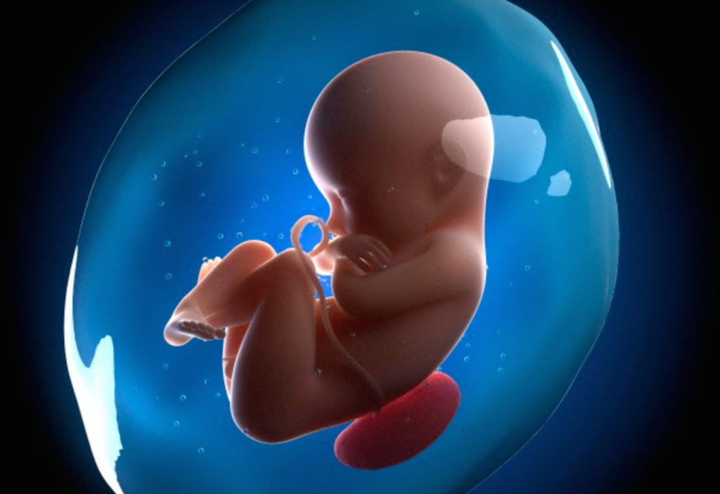 Hiện tượng túi thai nhỏ gây ra các cản trở về phát triển cơ thể và trí tuệ của trẻ 
