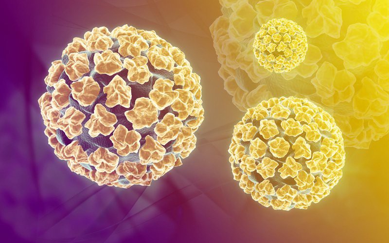 Bệnh viêm gan siêu vi B do virus HPV gây ra 