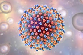 Hình ảnh minh họa về viêm gan siêu vi C.
