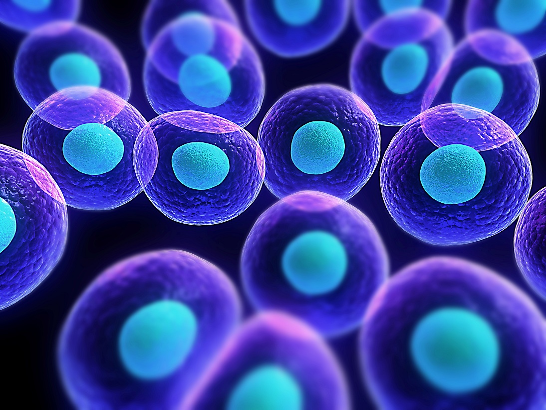 Phương pháp tái sinh đóng vai trò lớn lao trong việc nuôi dưỡng và phát triển các tế bào gốc giúp sản sinh ra nhiều loại tế bào mới, hỗ trợ quá trình điều trị bệnh tốt hơn