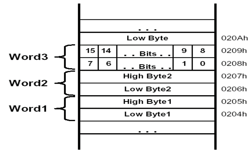 MSP430 Memory Orgranization