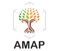 UMR AMAP