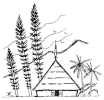 Herbarium