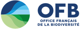OFB