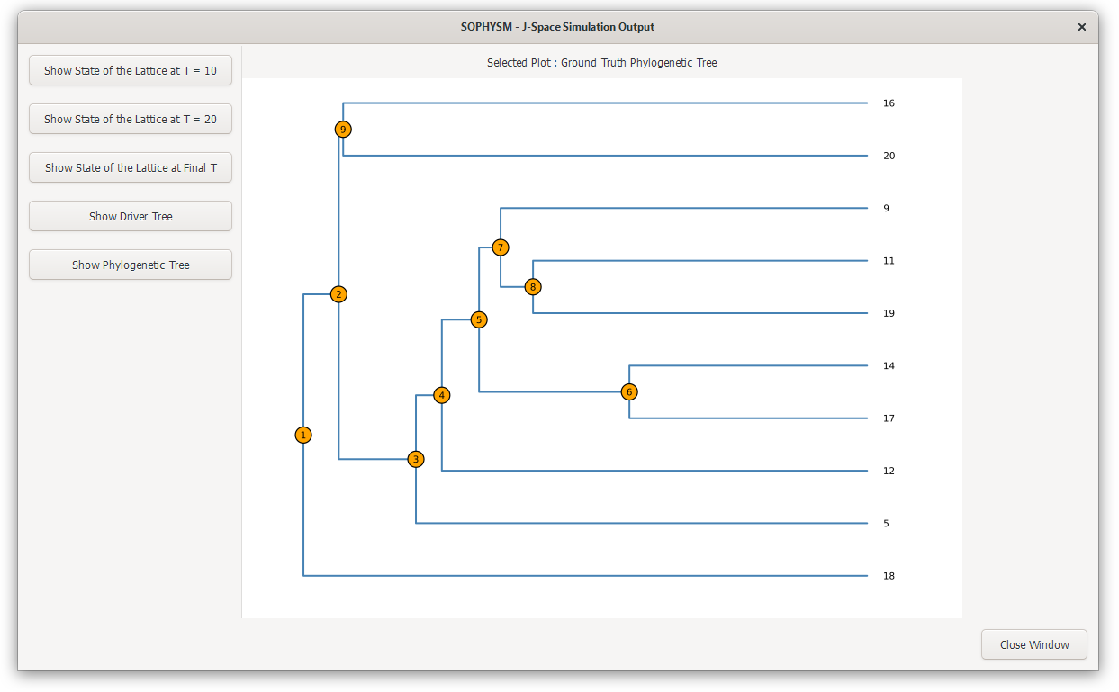 Simulation Window - Phylogenetic Tree