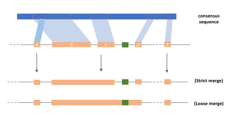 fig.1