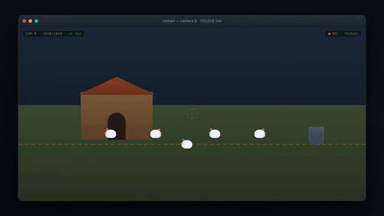 A local vision model tagging every chicken in the yard, running offline on an Apple Silicon Mac
