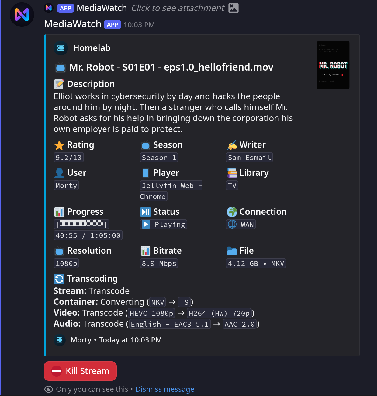 Jellyfin Stream Details