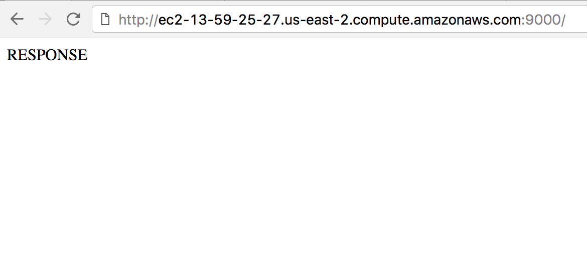 Public DNS Response