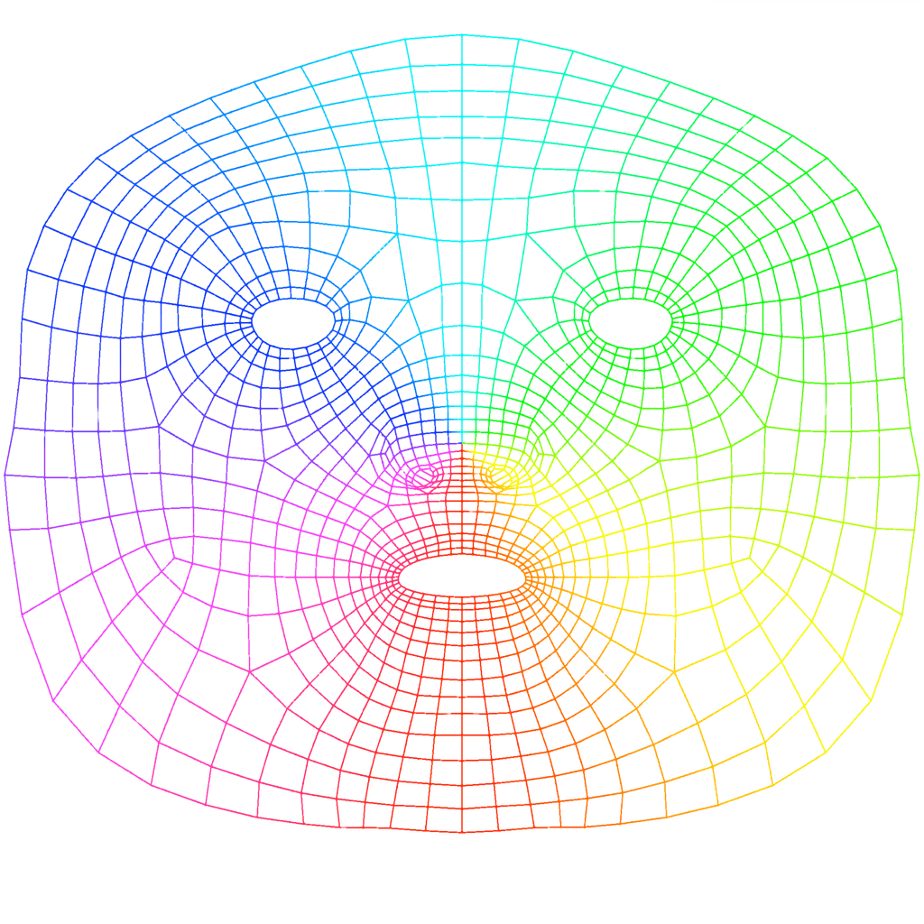 Face Wireframe