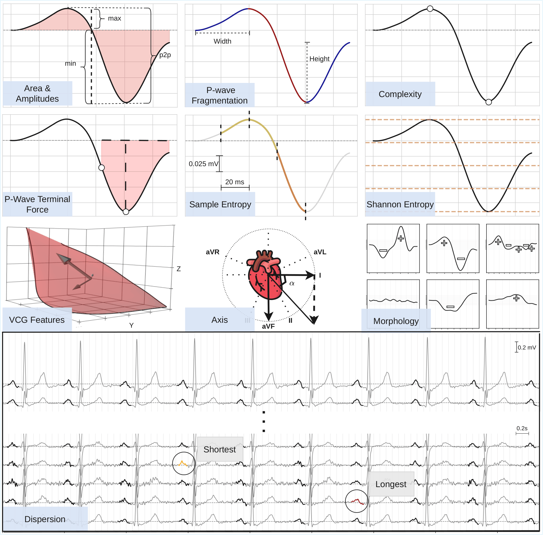 Overview of AtriaKit's P-wave feature families