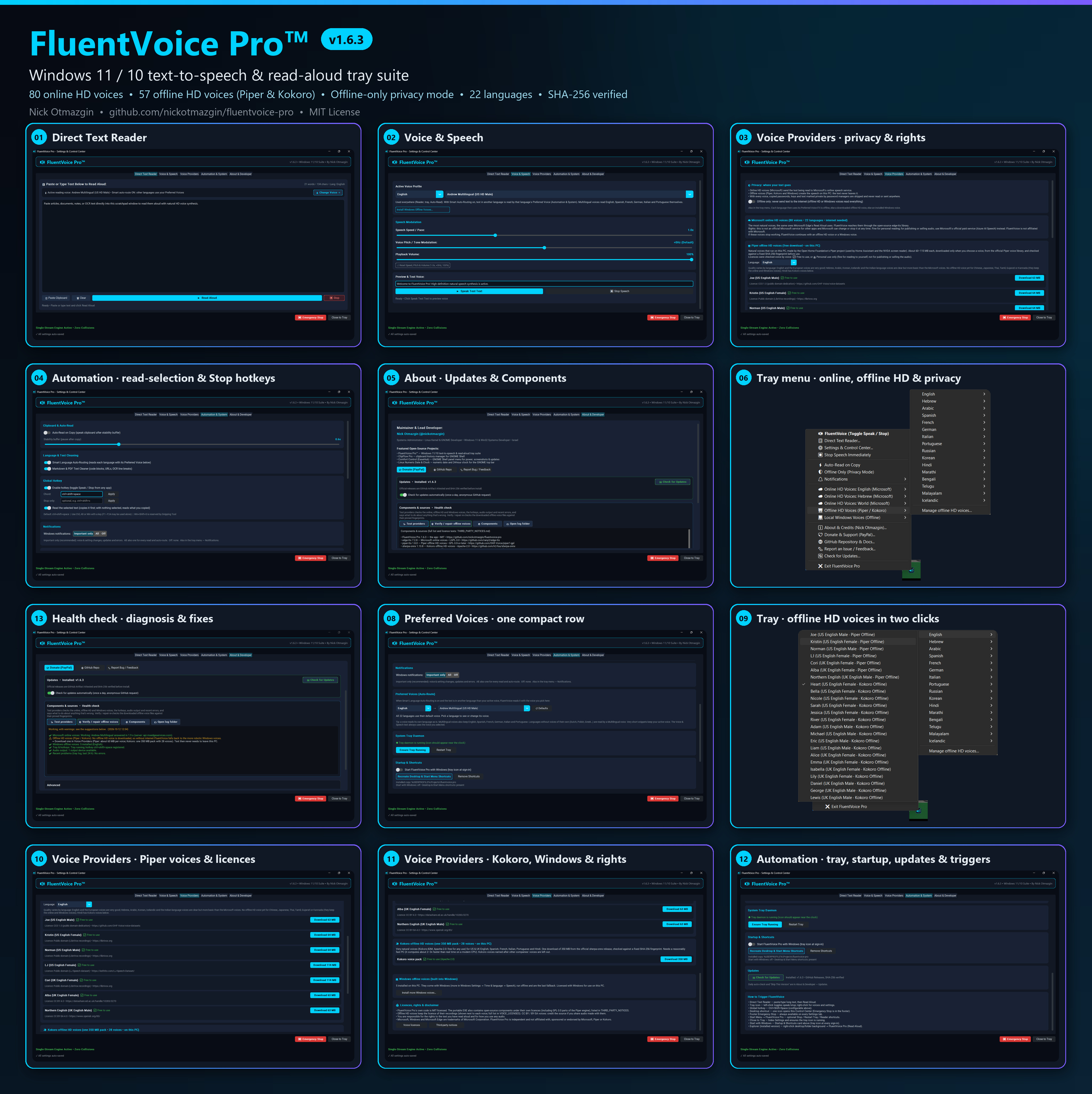 FluentVoice Pro v1.6.3 collage