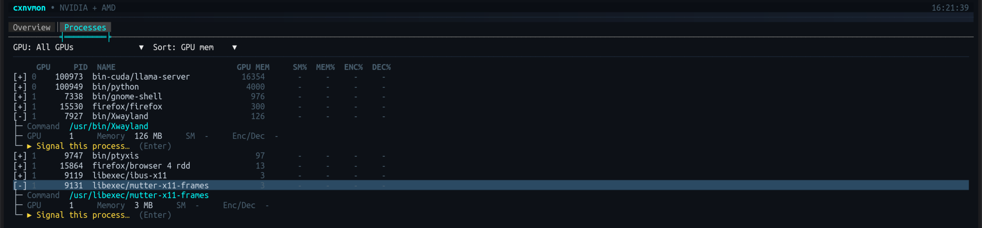 cxgpu Processes