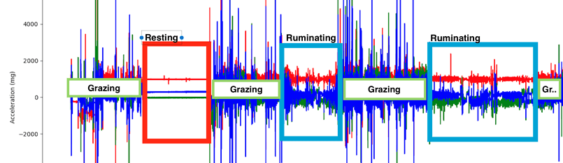 Labelled data