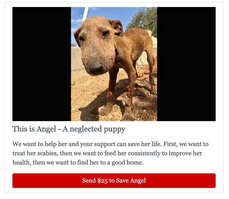 Help Angel