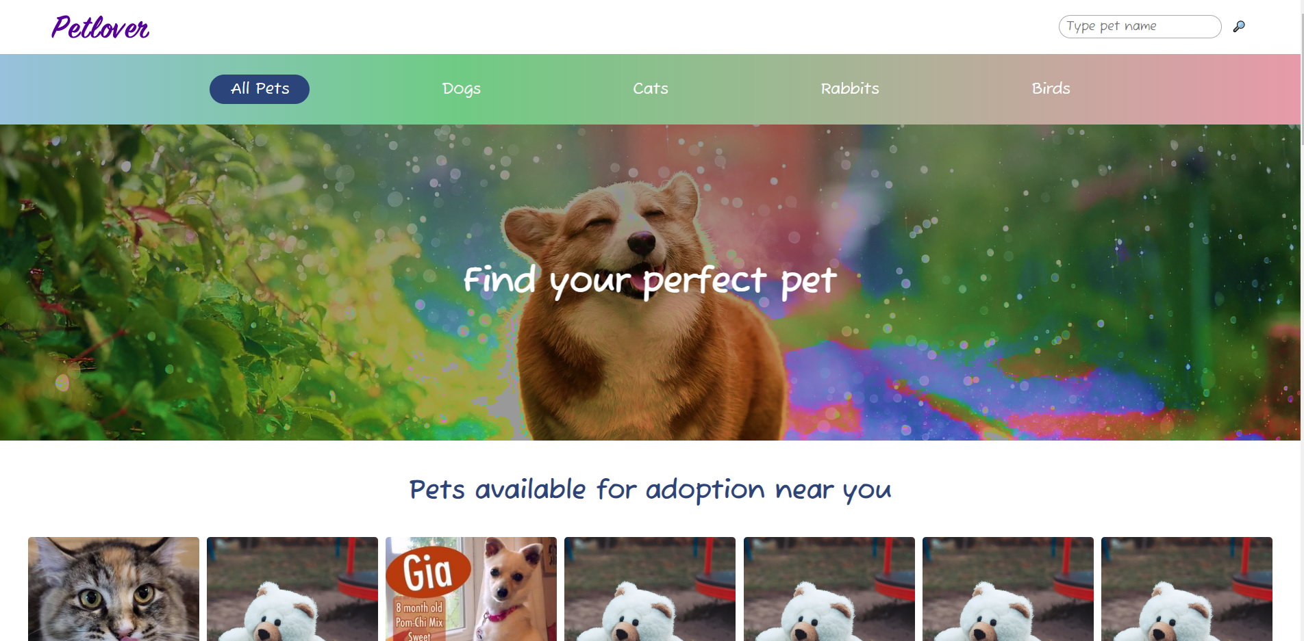 Pet Lover Banner