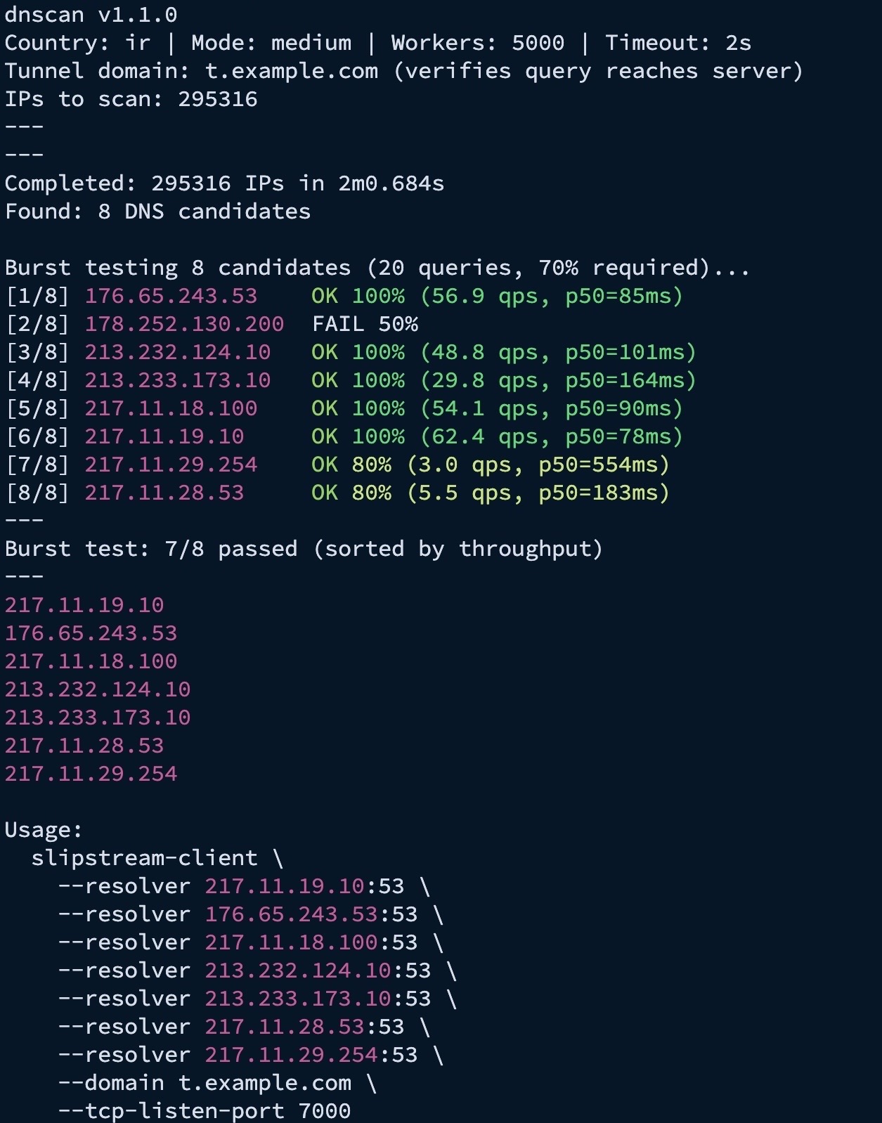 dnscan screenshot