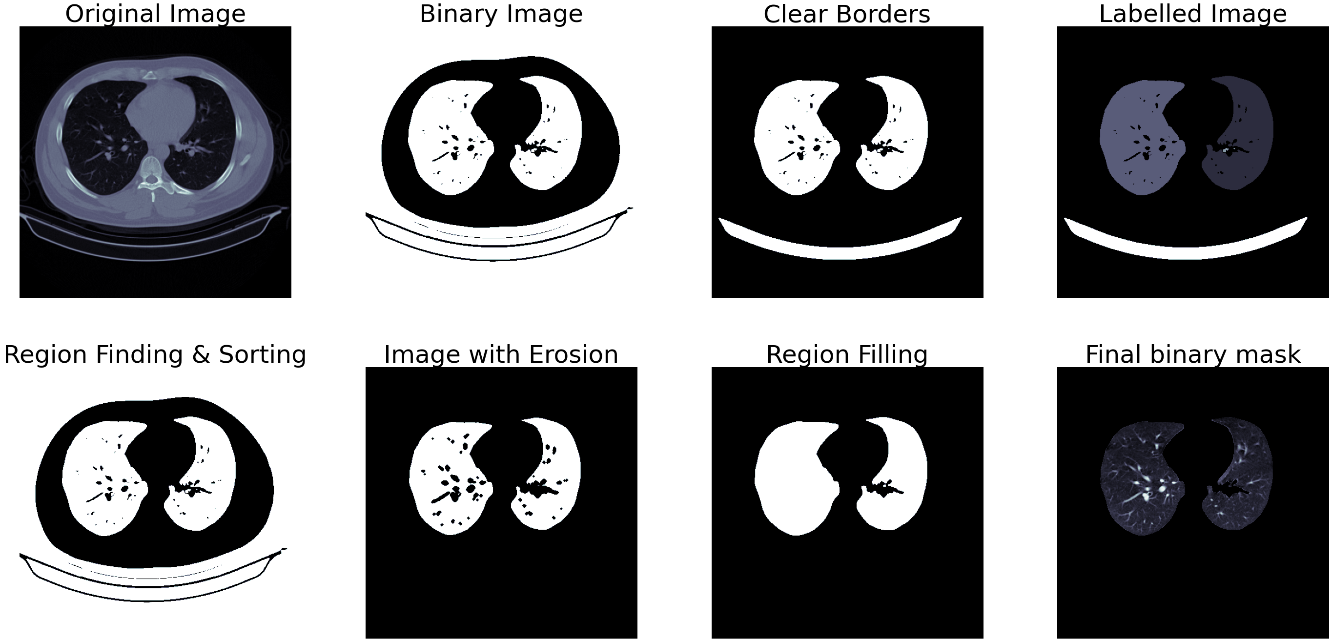 Segmentation output