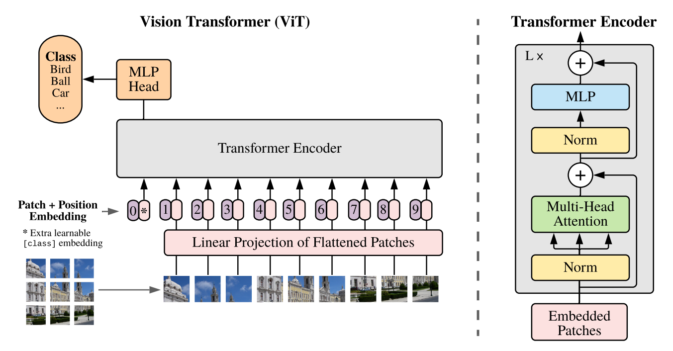The block diagram of the Vision Transformer