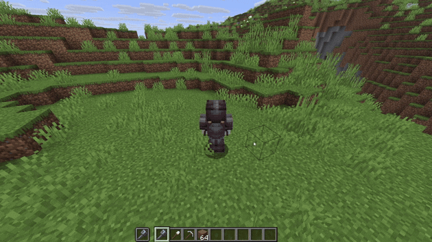 Showcase of camera zoom.