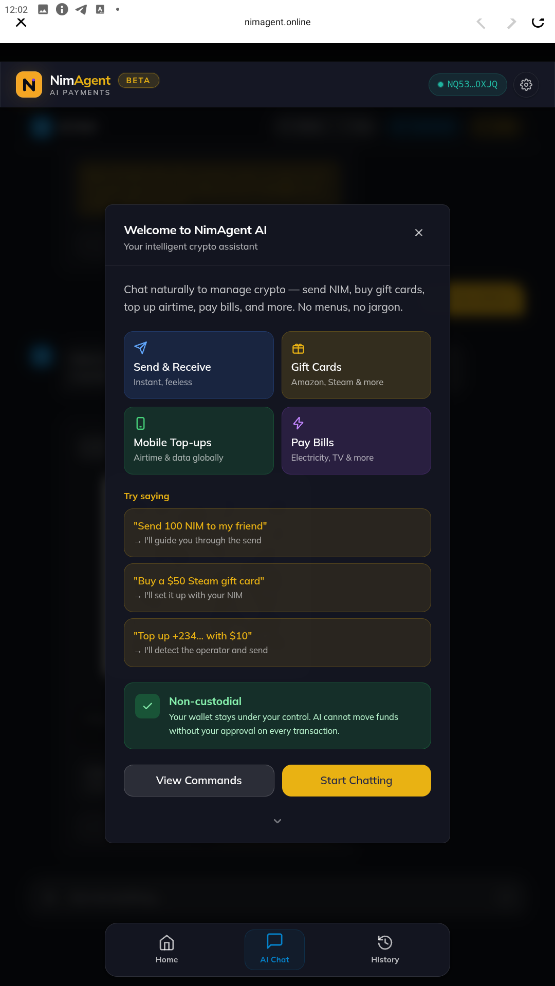 NimAgent screenshot 3