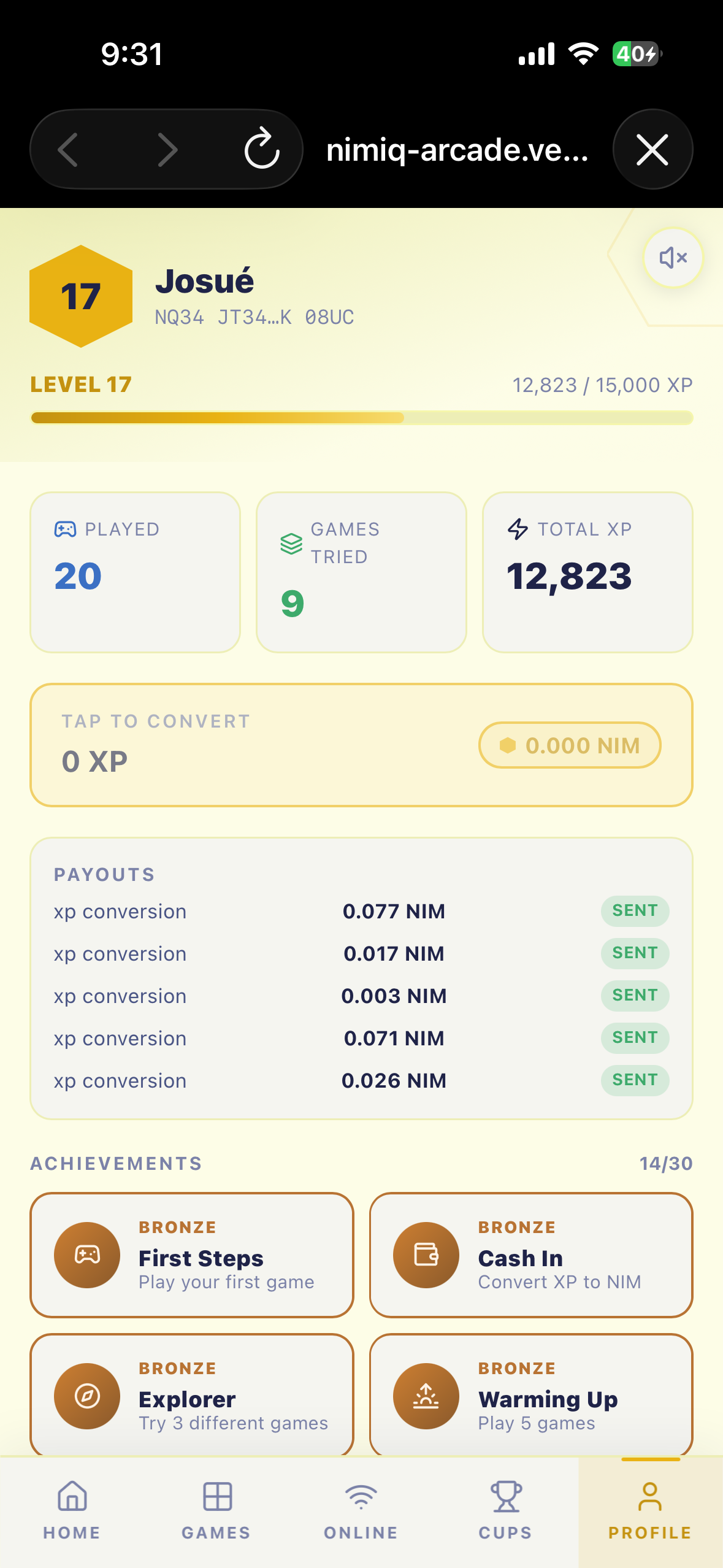 NIMIQ-ARCADE screenshot 4