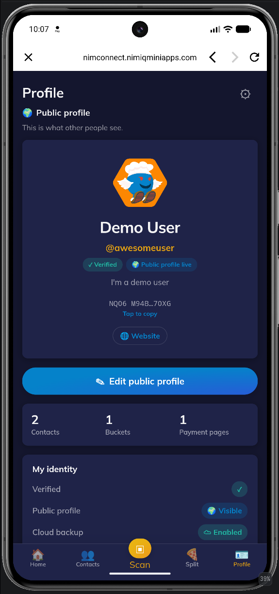 NimConnect screenshot 1