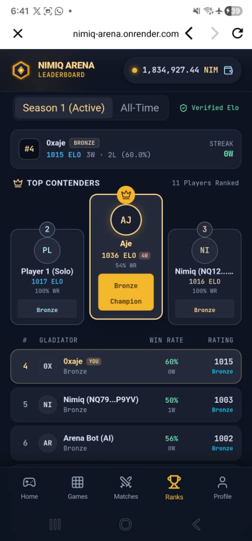 Nimiq Arena screenshot 5