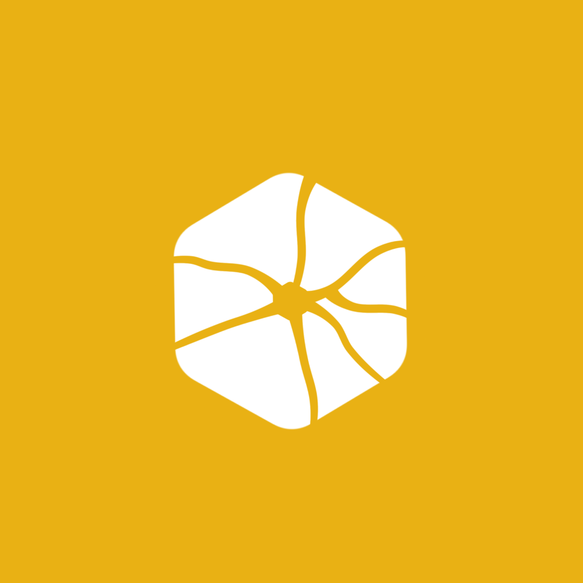 Nimcapsule icon