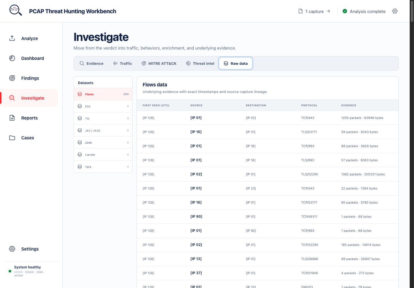 Raw data workspace in PCAP Hunter v3