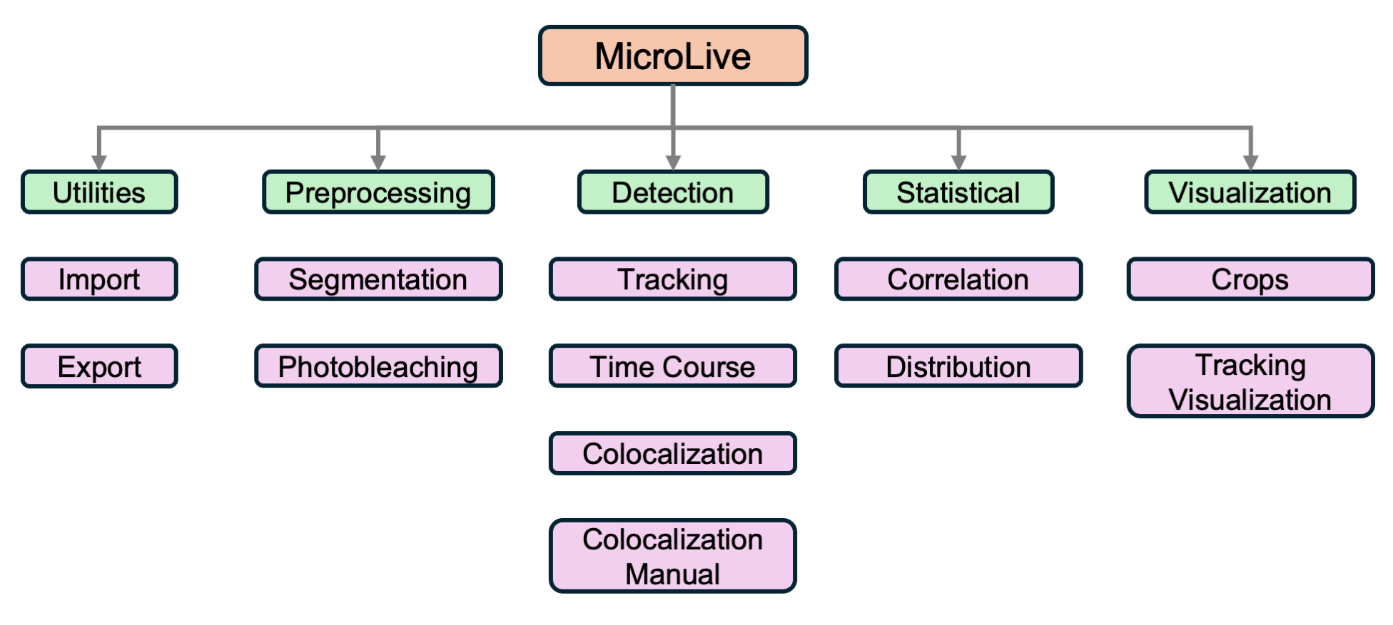 MicroLive architecture