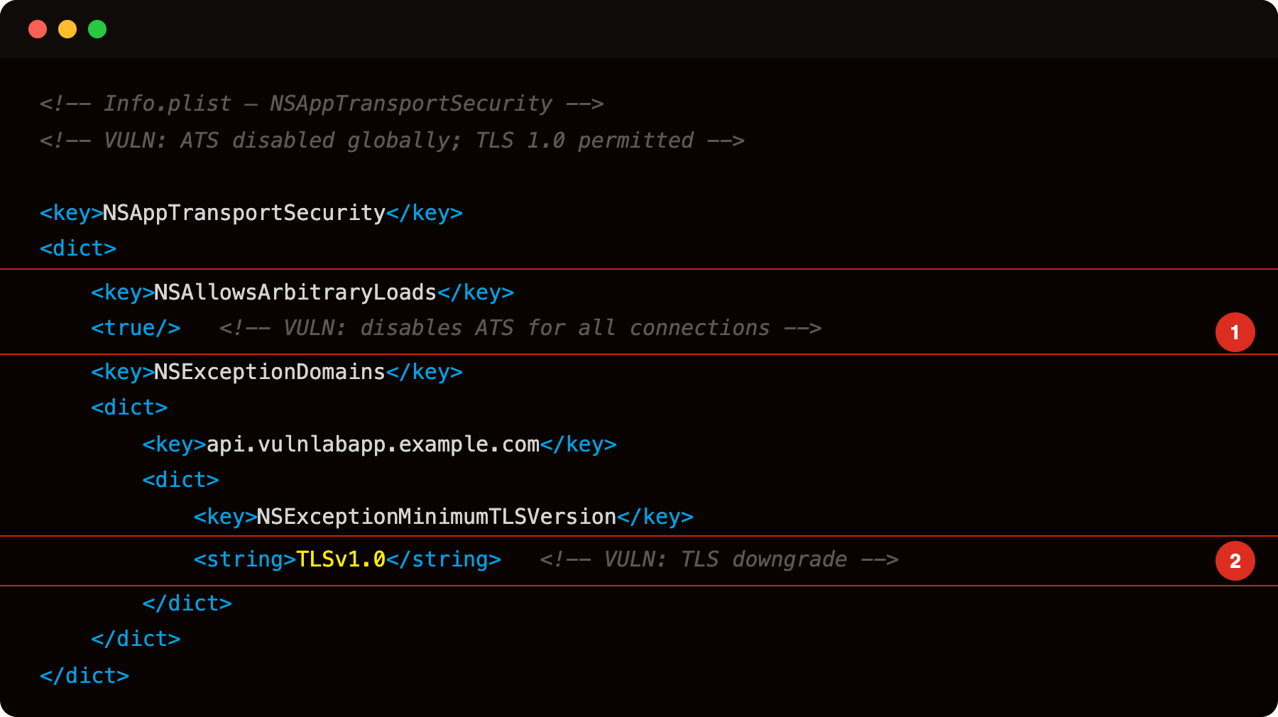 Info.plist NSAppTransportSecurity with NSAllowsArbitraryLoads=true (highlight 1) and TLSv1.0 exception (highlight 2)