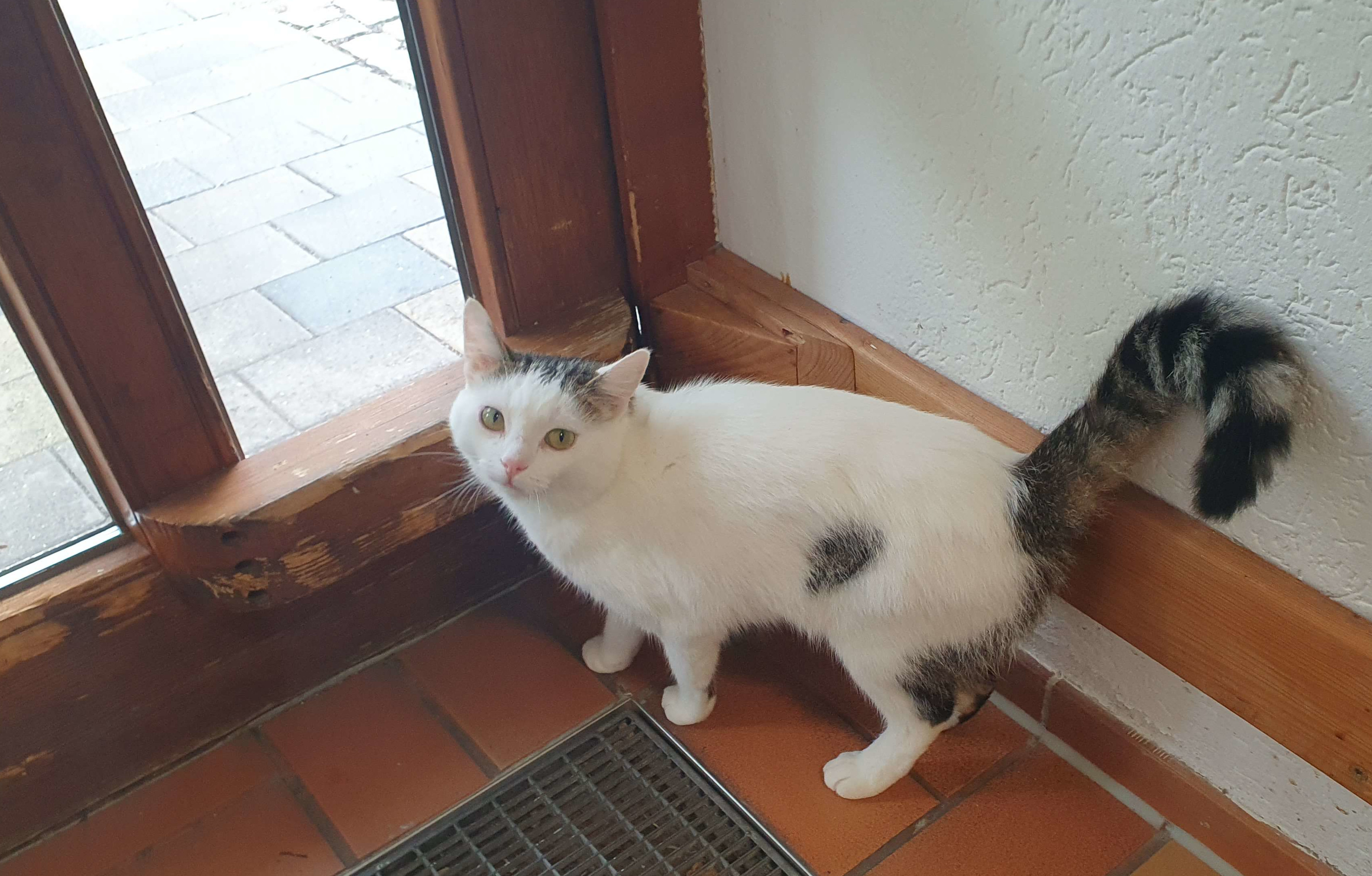 Bild 'findus/door.jpg' nicht vorhanden