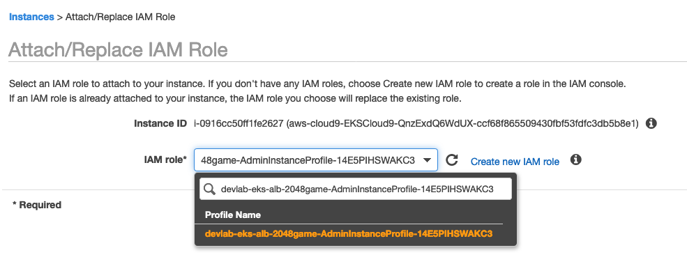 Set Instance Role