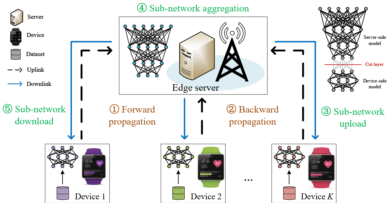 FedSL_Framework