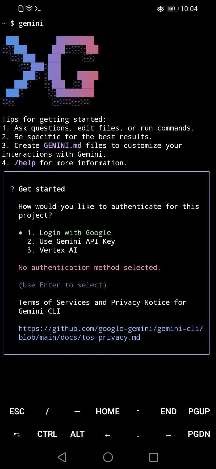 Gemini CLI Interface