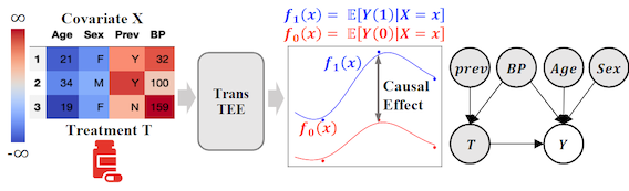 A motivating example. Prev denotes previous infection condition and BP denotes blood pressure. A corresponding causal graph where shady nodes denote observed variable and white node denotes hidden outcome. TransTEE adjusts proper covariate sets Prev,BP with attention which is visualized via a heatmap.