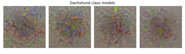 Class models for dachshunds