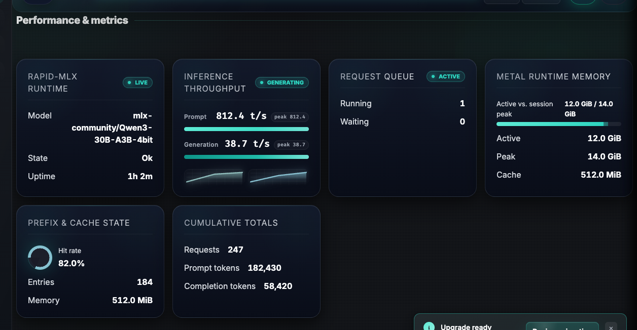 Rapid-MLX dashboard