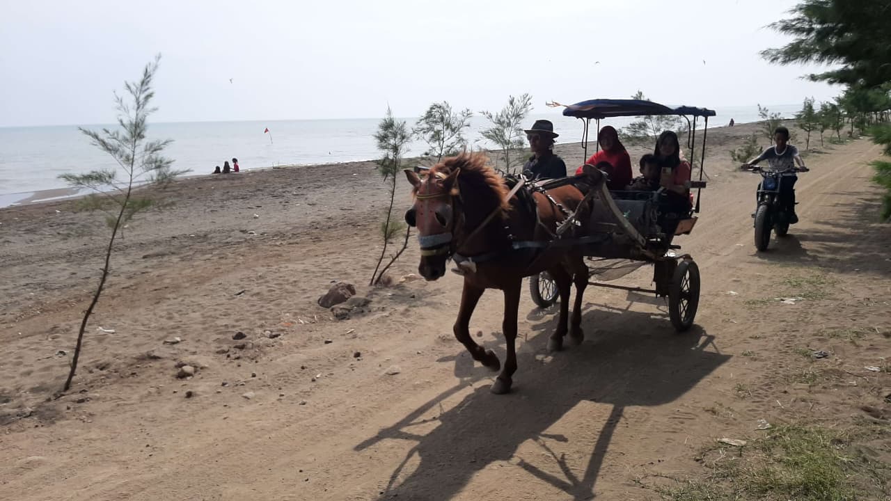 Kereta Kuda di Pantai Indah Kemangi