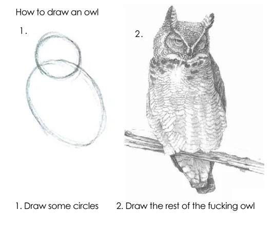 Owl 1