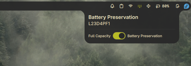 Ideapad Battery Health
