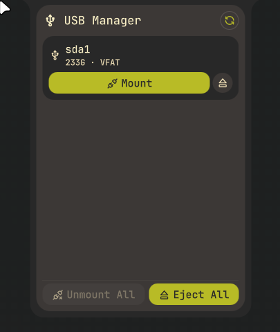 USB Drive Manager
