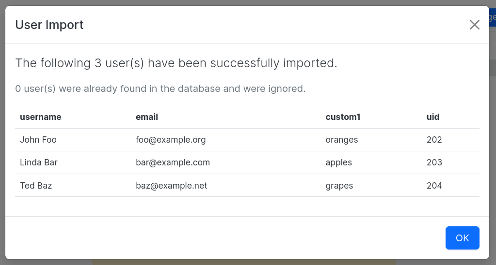 A modal containing a table displaying a list of users successfully imported in