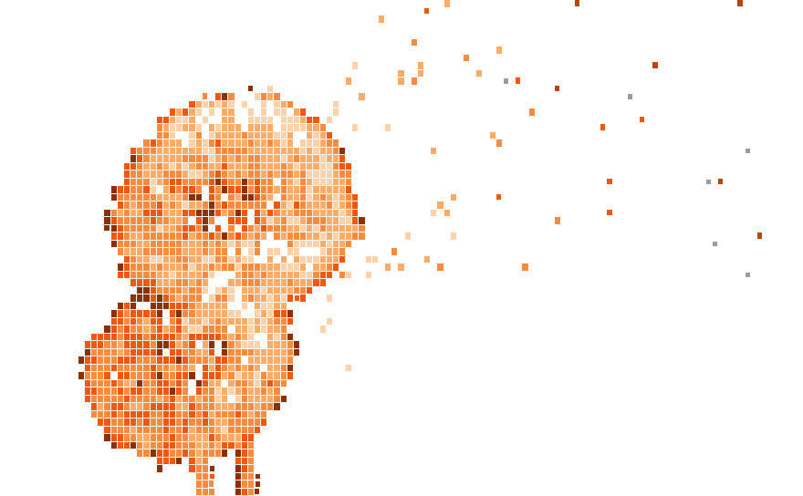 Two dandelion clocks shedding seeds as single cells