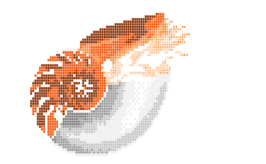 A nautilus in its shell, drawn in cells