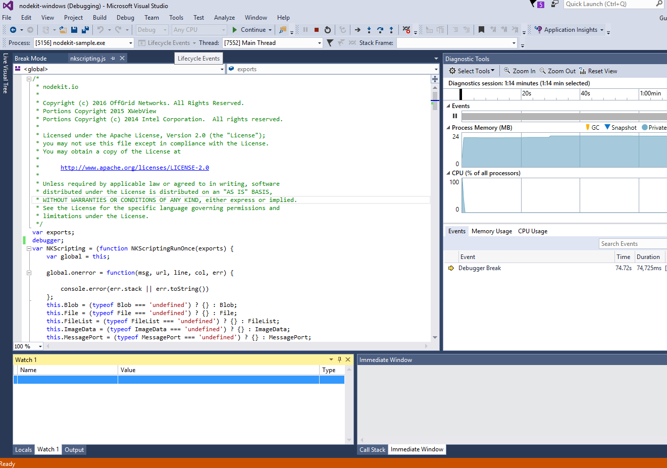 Visual Studio Debugger