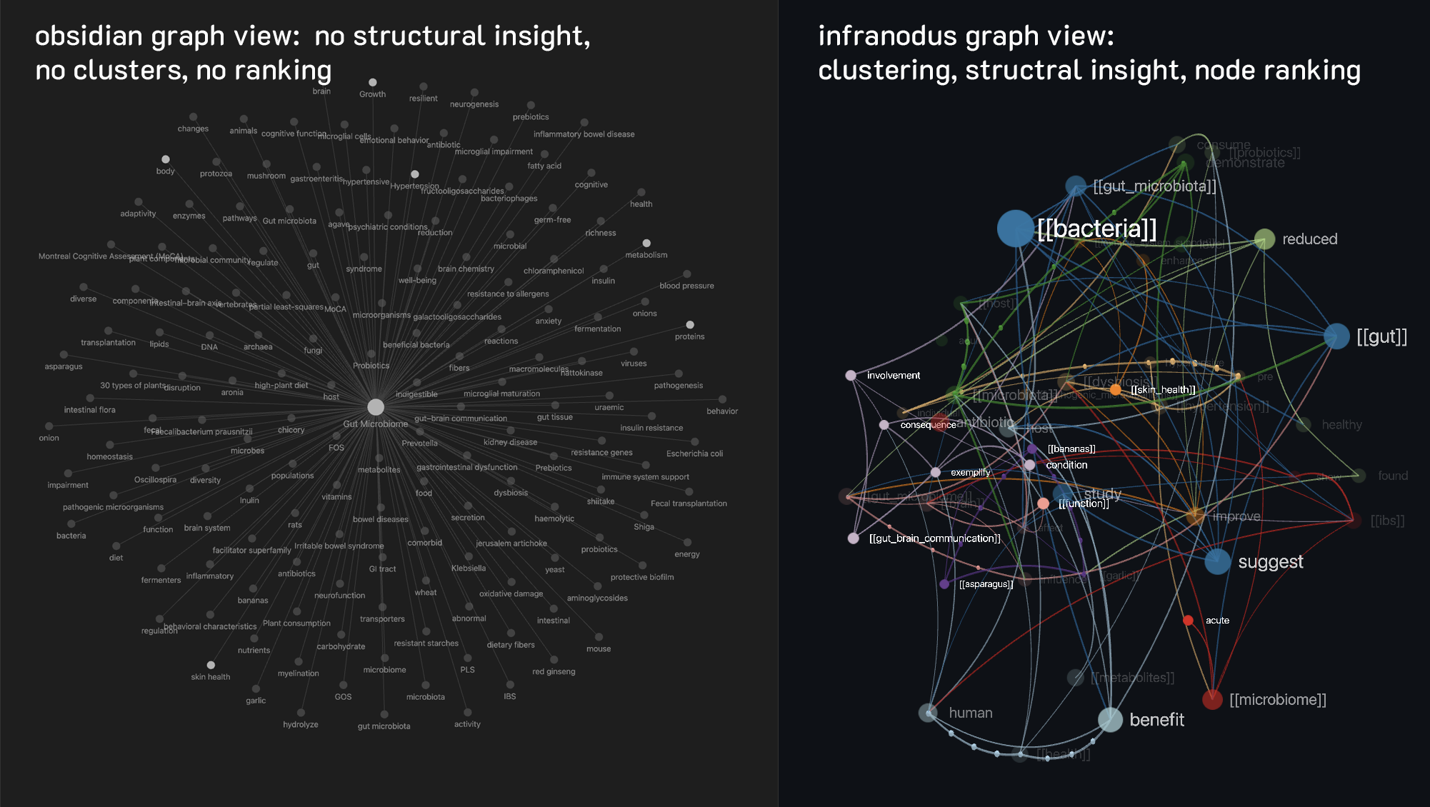 InfraNodus vs Obsidian graph view